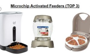Microchip Activated Cat Feeder