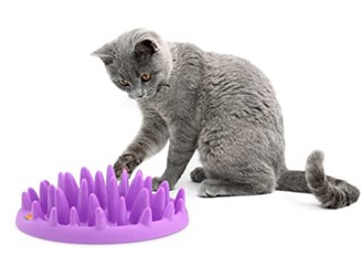 Activity feeders for cats