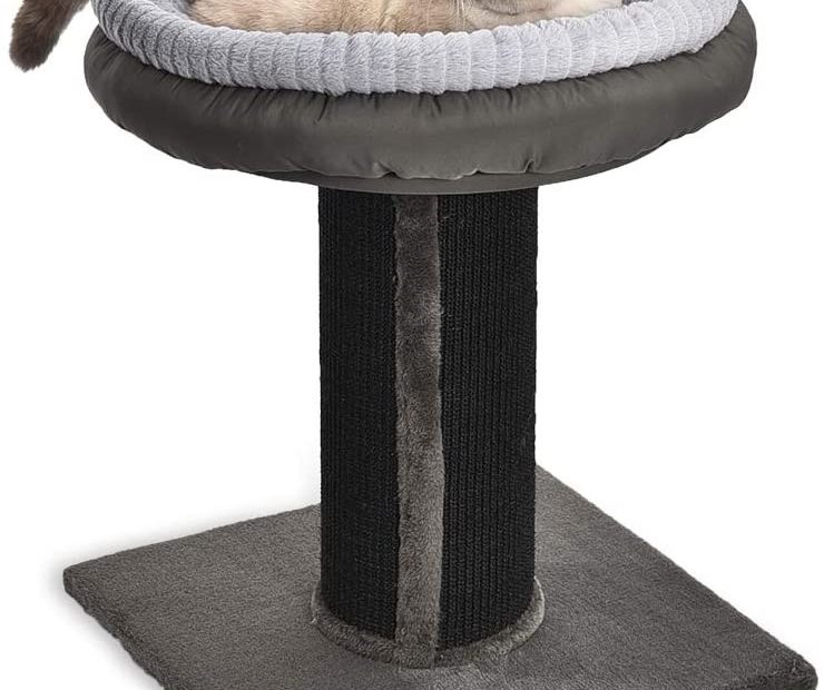Elevated cat beds reviews